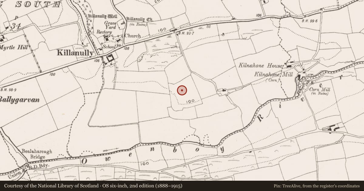 Ordnance Survey six-inch map, 2nd edition (1888–1915) covering the location of Souterrain, Killanully, County Cork, with a pin at the register's coordinates