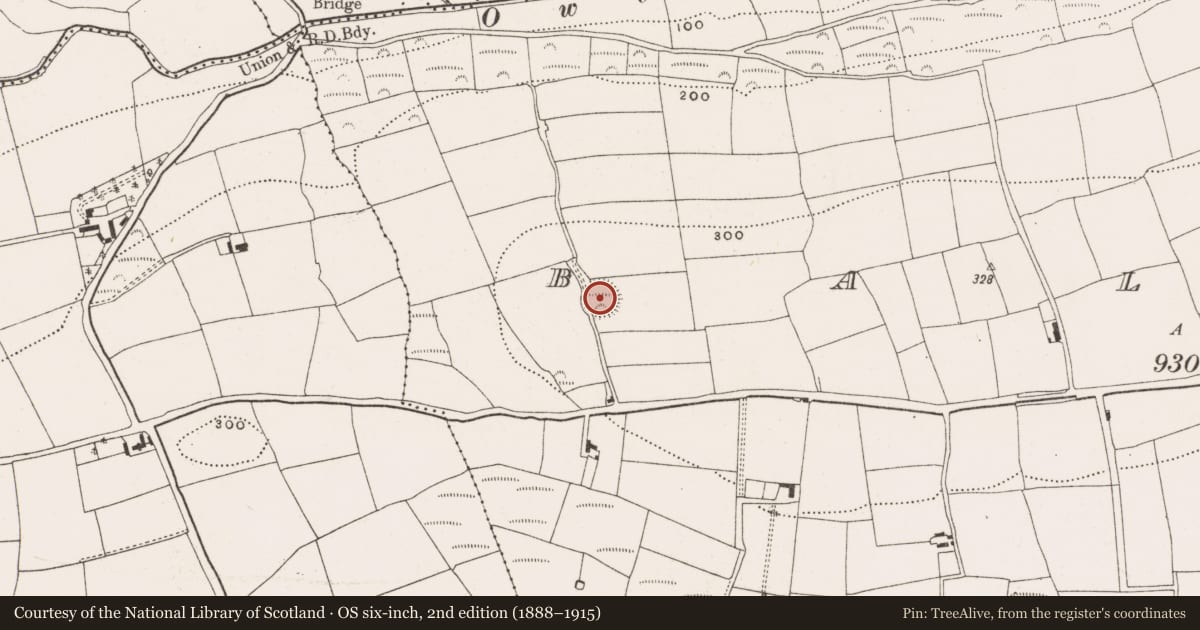 Ordnance Survey six-inch map, 2nd edition (1888–1915) covering the location of Ringfort - rath, Ballea, County Cork, with a pin at the register's coordinates
