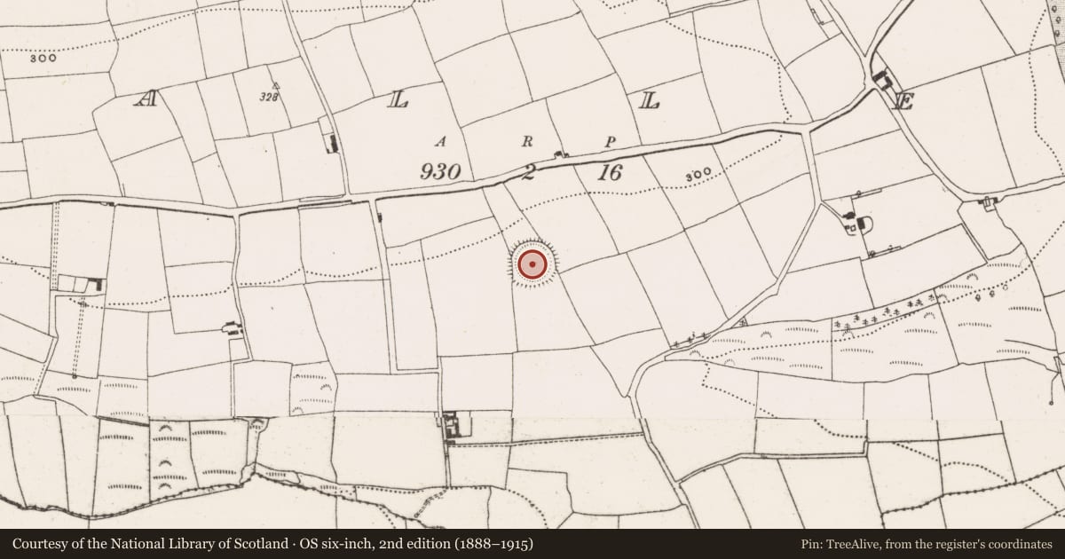 Ordnance Survey six-inch map, 2nd edition (1888–1915) covering the location of Kiln - lime, Ballea, County Cork, with a pin at the register's coordinates