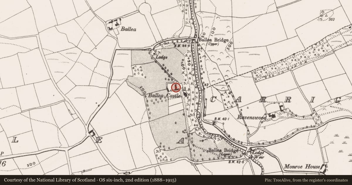 Ordnance Survey six-inch map, 2nd edition (1888–1915) covering the location of Castle - tower house, Ballea, County Cork, with a pin at the register's coordinates
