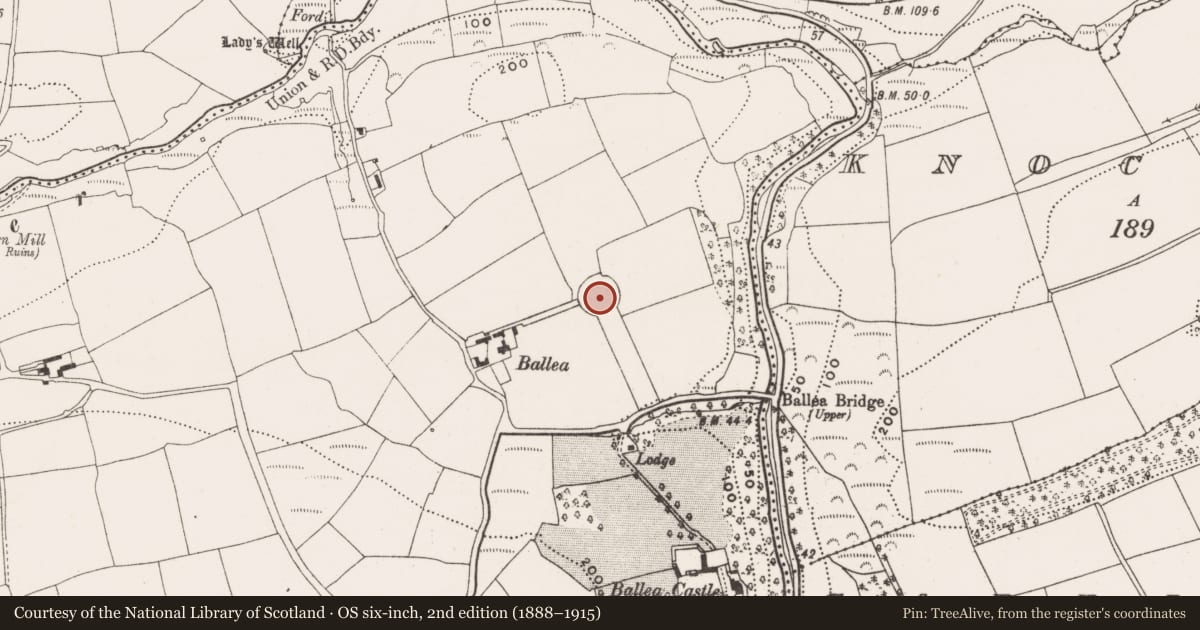 Ordnance Survey six-inch map, 2nd edition (1888–1915) covering the location of Enclosure, Ballea, County Cork, with a pin at the register's coordinates