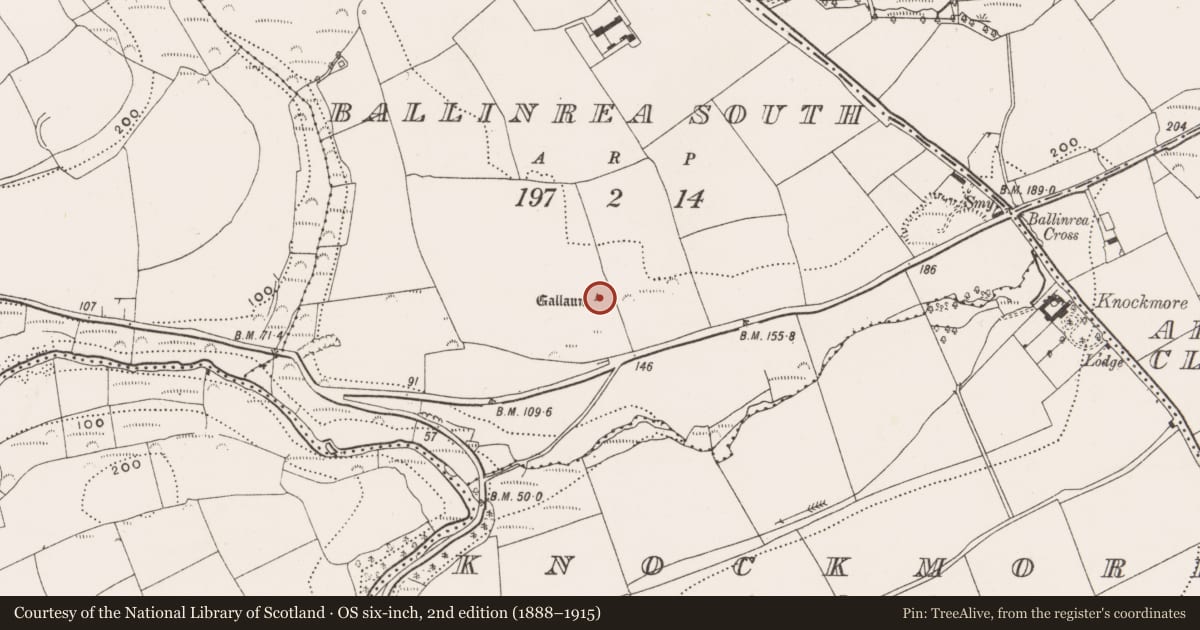 Ordnance Survey six-inch map, 2nd edition (1888–1915) covering the location of Standing stone, Ballinrea South, County Cork, with a pin at the register's coordinates