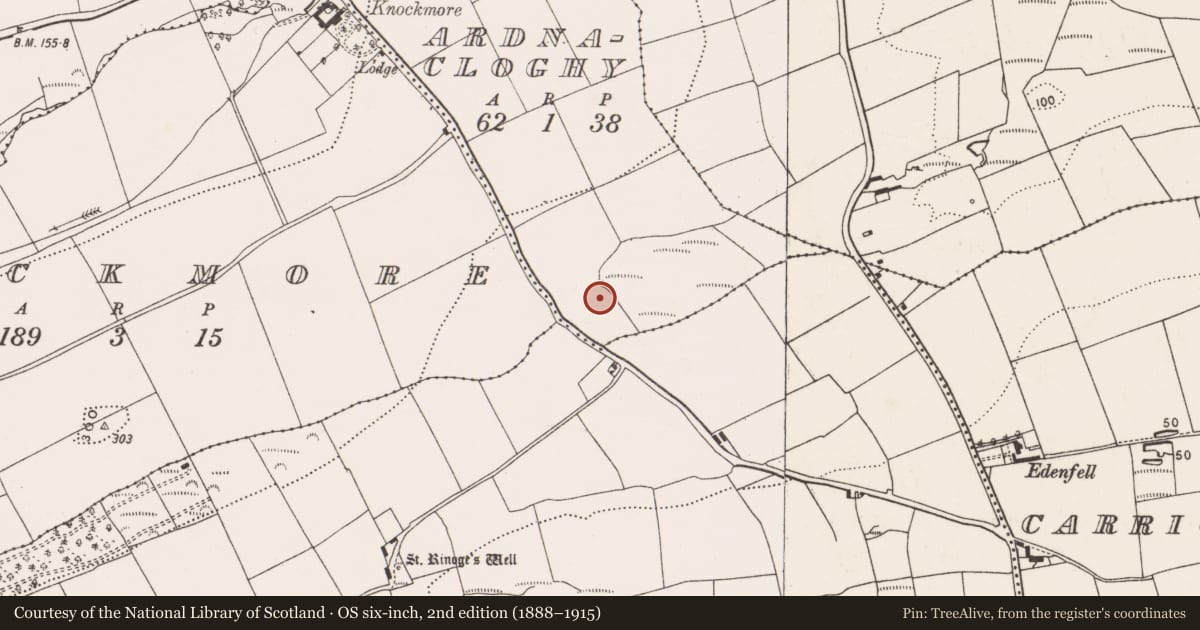 Ordnance Survey six-inch map, 2nd edition (1888–1915) covering the location of Ringfort - rath, Ardnacloghy, County Cork, with a pin at the register's coordinates