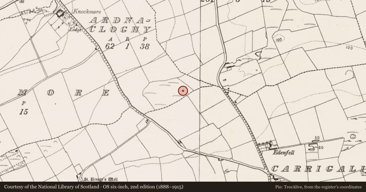 Ordnance Survey six-inch map, 2nd edition (1888–1915) covering the location of Fulacht fia, Ardnacloghy, County Cork, with a pin at the register's coordinates