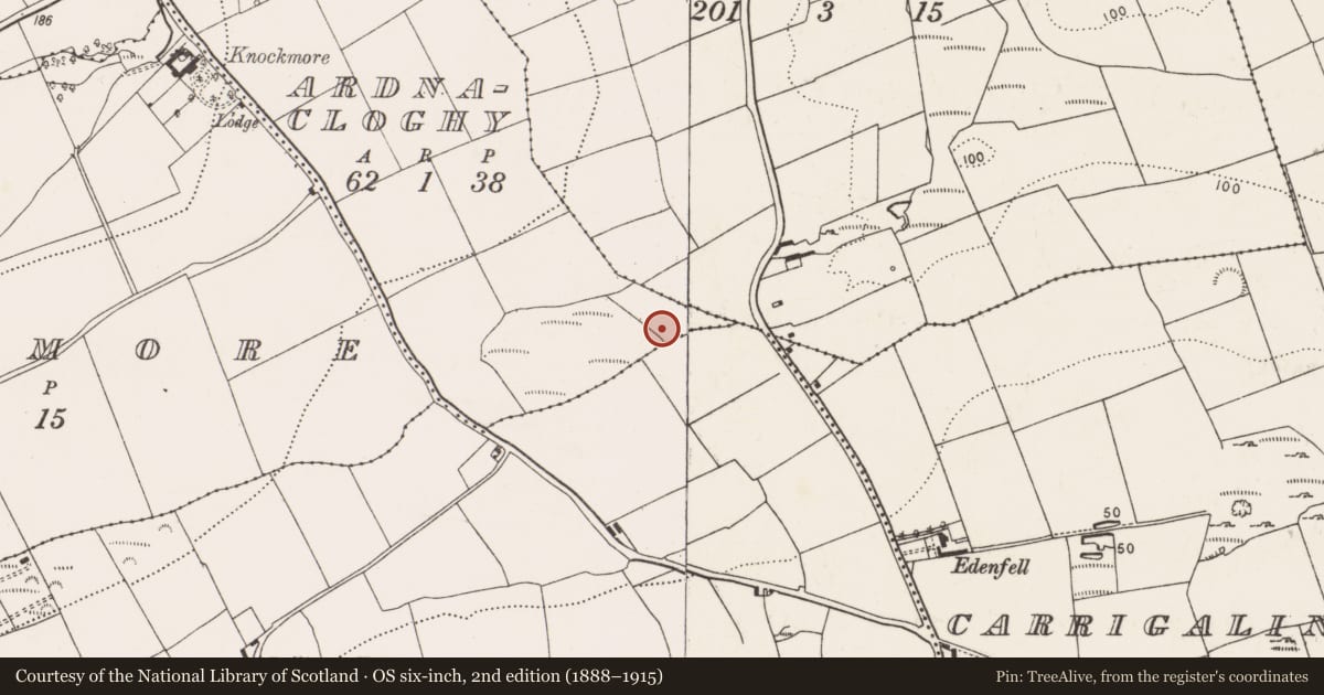 Ordnance Survey six-inch map, 2nd edition (1888–1915) covering the location of Fulacht fia, Ardnacloghy, County Cork, with a pin at the register's coordinates