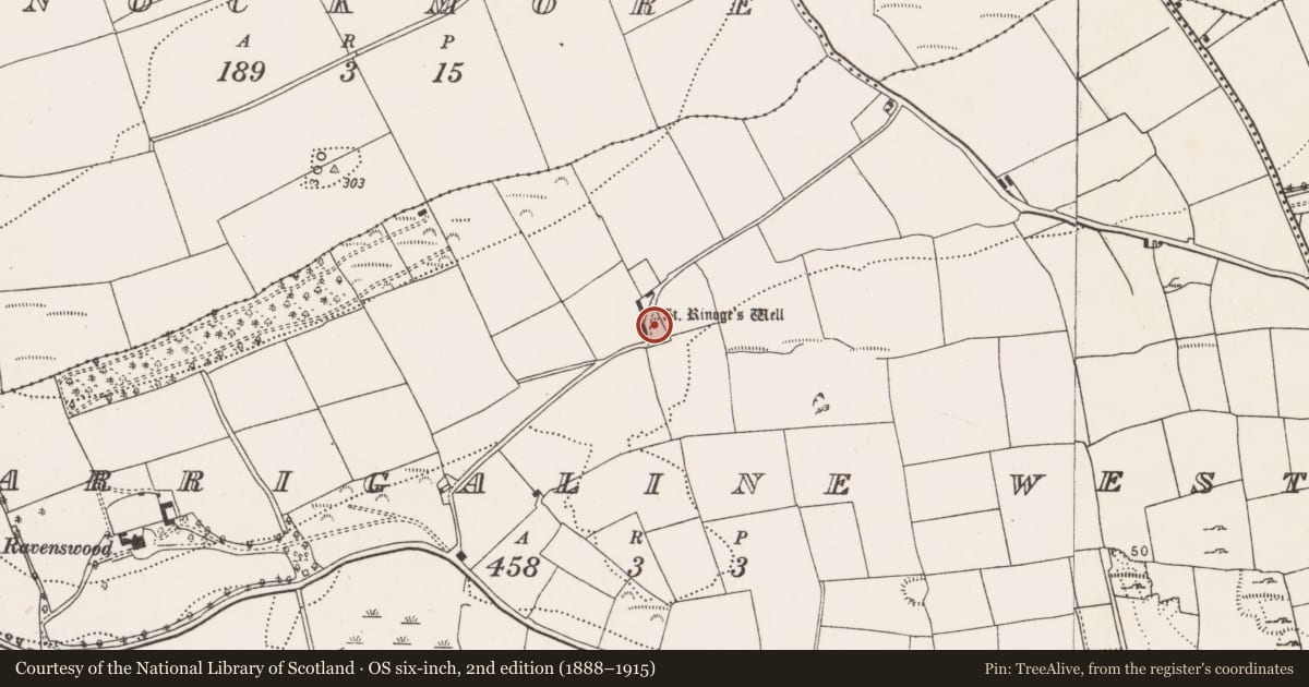 Ordnance Survey six-inch map, 2nd edition (1888–1915) covering the location of Ritual site - holy well, Carrigaline West, County Cork, with a pin at the register's coordinates