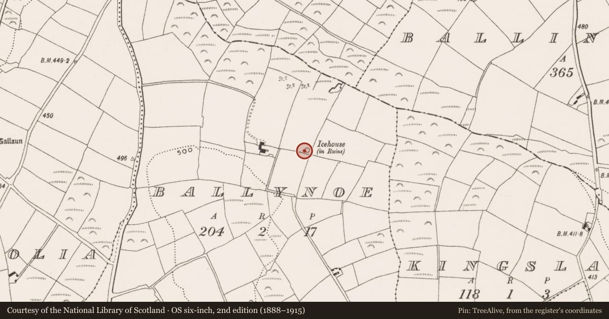 Ordnance Survey six-inch map, 2nd edition (1888–1915) covering the location of Icehouse, Ballynoe, County Cork, with a pin at the register's coordinates