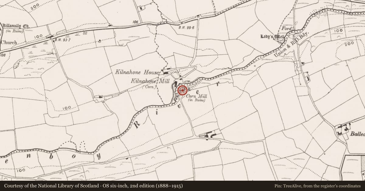 Ordnance Survey six-inch map, 2nd edition (1888–1915) covering the location of Mill - corn, Ballea, County Cork, with a pin at the register's coordinates