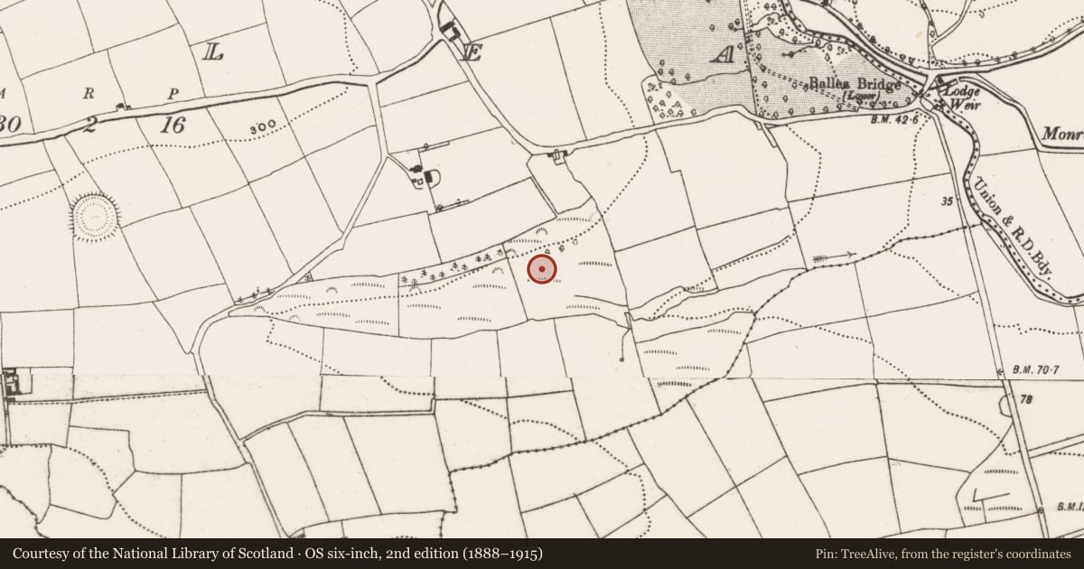 Ordnance Survey six-inch map, 2nd edition (1888–1915) covering the location of Quarry, Ballea, County Cork, with a pin at the register's coordinates