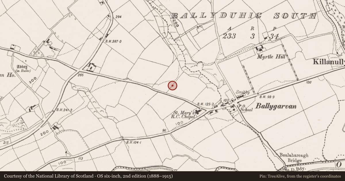 Ordnance Survey six-inch map, 2nd edition (1888–1915) covering the location of Enclosure, Ballygarvan, County Cork, with a pin at the register's coordinates
