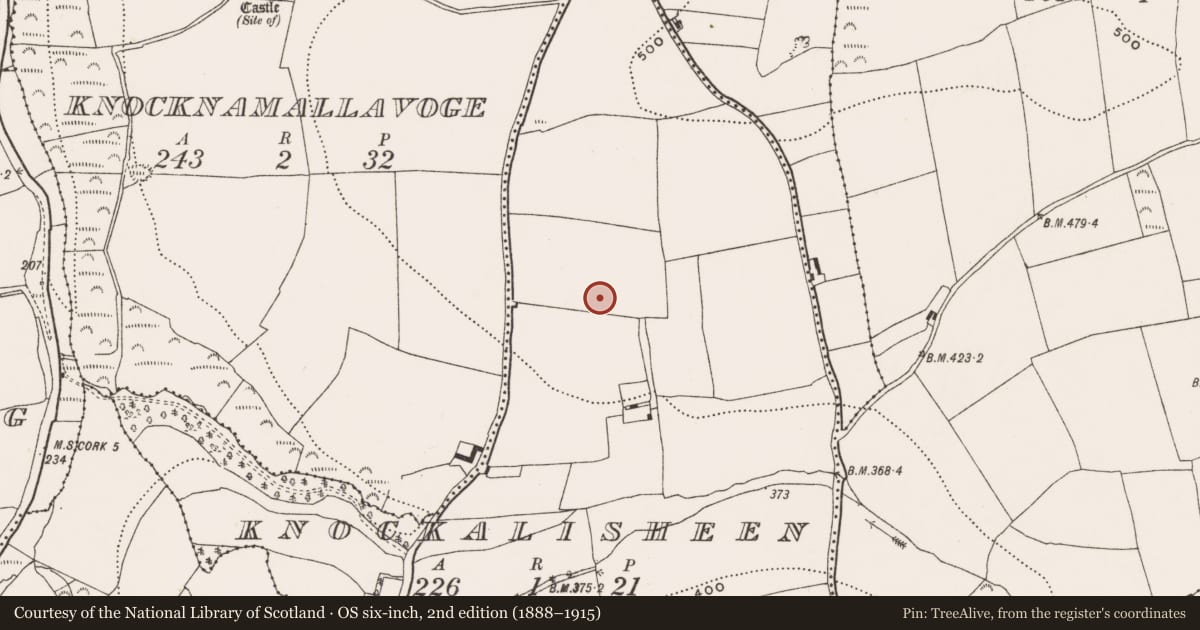 Ordnance Survey six-inch map, 2nd edition (1888–1915) covering the location of Enclosure, Knockalisheen, County Cork, with a pin at the register's coordinates