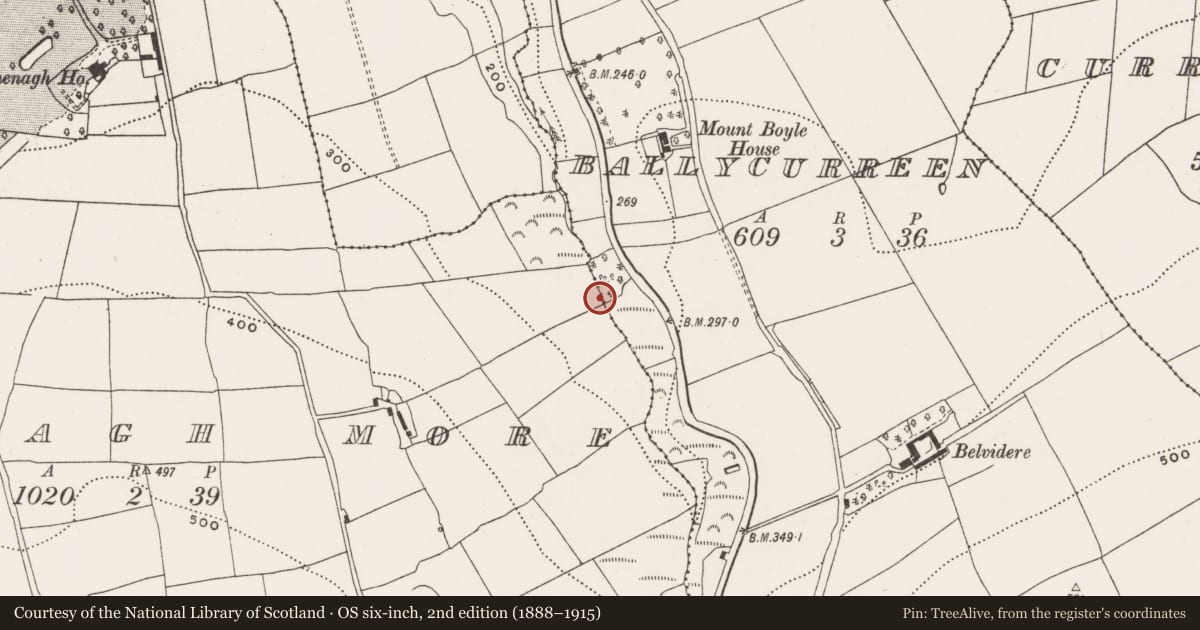 Ordnance Survey six-inch map, 2nd edition (1888–1915) covering the location of Mass-rock, Ballycurreen, County Cork, with a pin at the register's coordinates