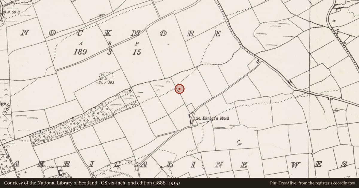 Ordnance Survey six-inch map, 2nd edition (1888–1915) covering the location of Souterrain, Carrigaline West, County Cork, with a pin at the register's coordinates