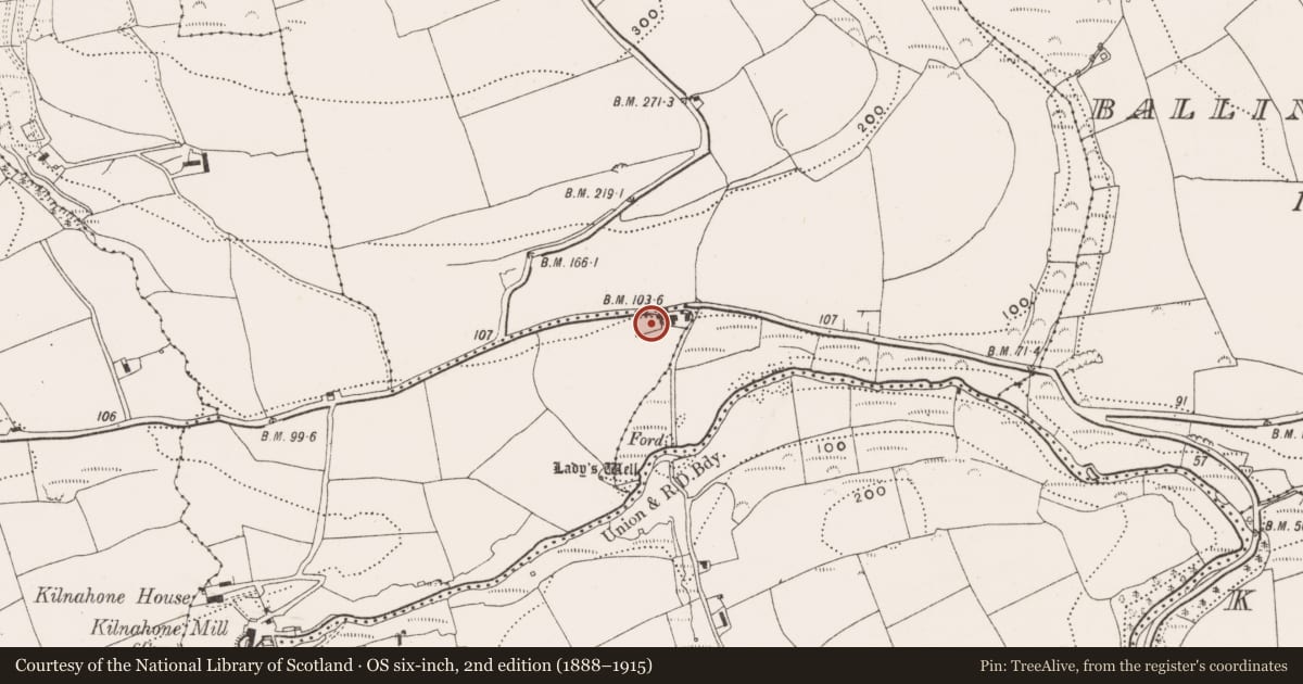 Ordnance Survey six-inch map, 2nd edition (1888–1915) covering the location of Church, Kilnahone, County Cork, with a pin at the register's coordinates