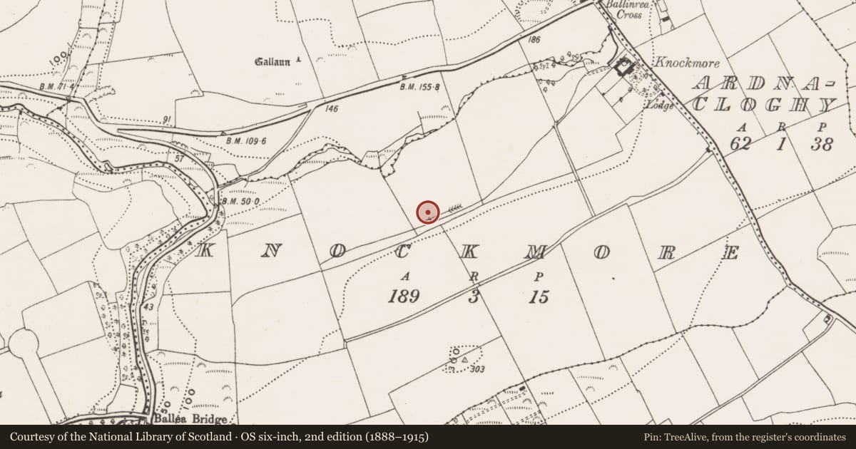Ordnance Survey six-inch map, 2nd edition (1888–1915) covering the location of Fulacht fia, Knockmore, County Cork, with a pin at the register's coordinates