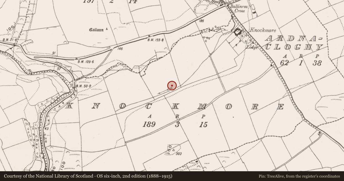 Ordnance Survey six-inch map, 2nd edition (1888–1915) covering the location of Fulacht fia, Knockmore, County Cork, with a pin at the register's coordinates