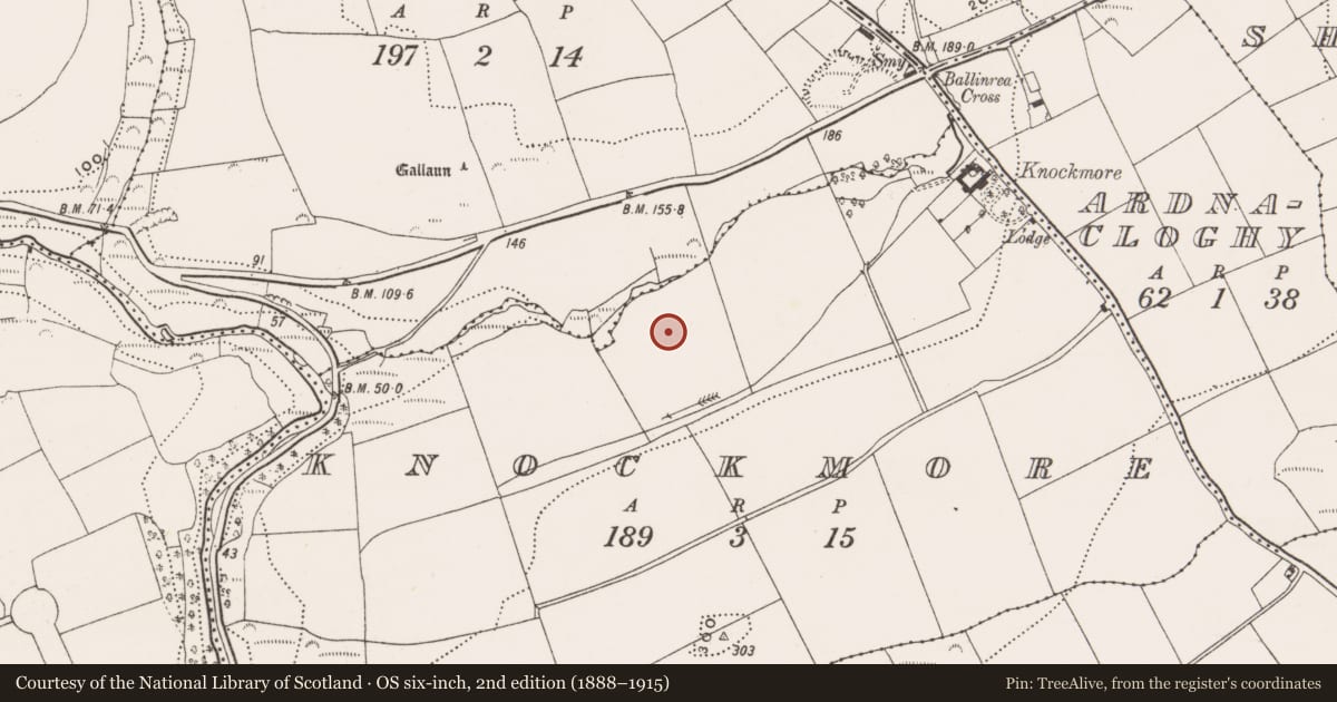 Ordnance Survey six-inch map, 2nd edition (1888–1915) covering the location of Fulacht fia, Knockmore, County Cork, with a pin at the register's coordinates