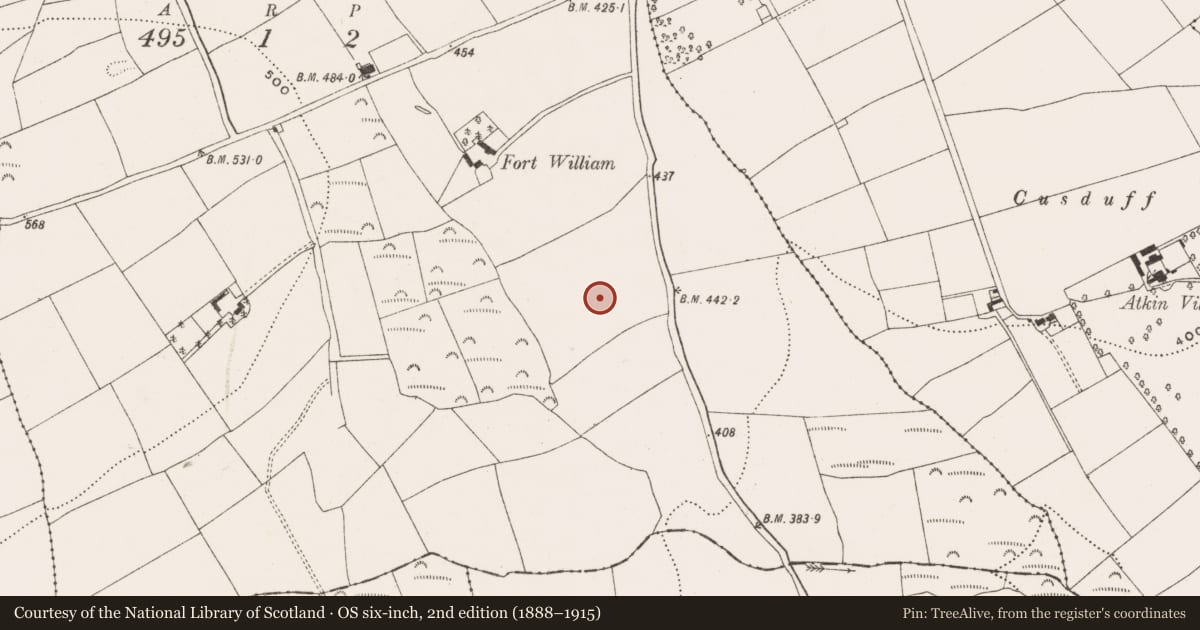 Ordnance Survey six-inch map, 2nd edition (1888–1915) covering the location of Standing stone, Ballinvuskig, County Cork, with a pin at the register's coordinates