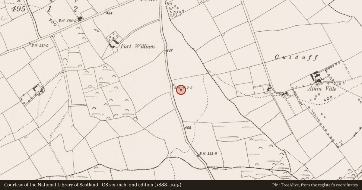 Ordnance Survey six-inch map, 2nd edition (1888–1915) covering the location of Standing stone, Ballinvuskig, County Cork, with a pin at the register's coordinates