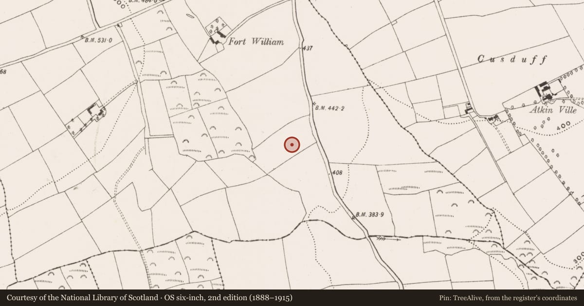 Ordnance Survey six-inch map, 2nd edition (1888–1915) covering the location of Standing stone, Ballinvuskig, County Cork, with a pin at the register's coordinates