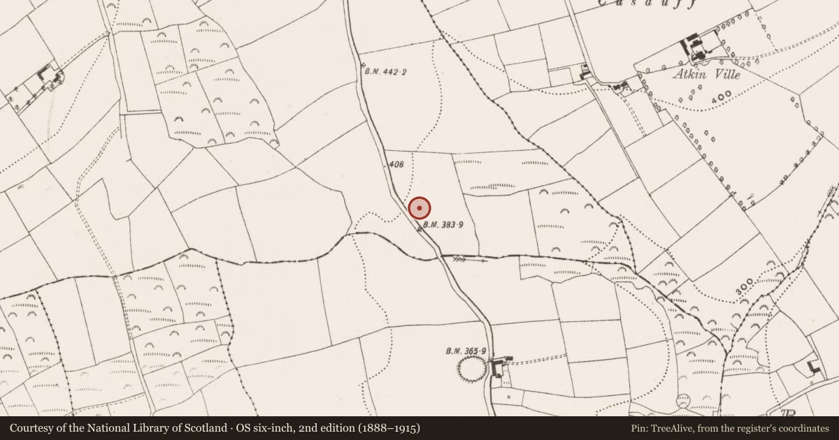 Ordnance Survey six-inch map, 2nd edition (1888–1915) covering the location of Standing stone, Ballinvuskig, County Cork, with a pin at the register's coordinates
