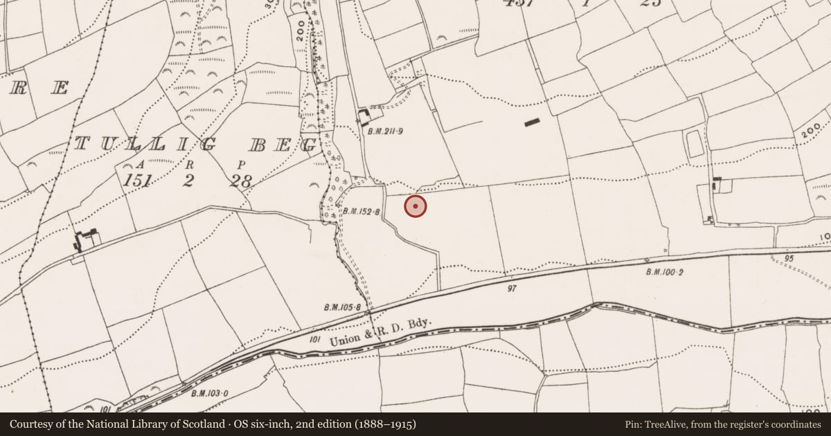 Ordnance Survey six-inch map, 2nd edition (1888–1915) covering the location of Enclosure, Adamstown, County Cork, with a pin at the register's coordinates