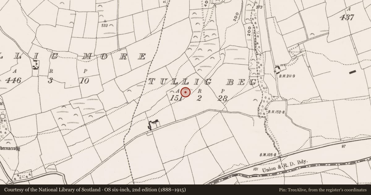 Ordnance Survey six-inch map, 2nd edition (1888–1915) covering the location of Fulacht fia, Tullig Beg, County Cork, with a pin at the register's coordinates