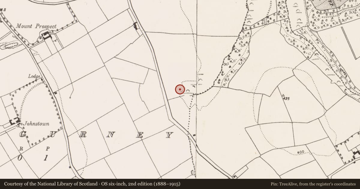 Ordnance Survey six-inch map, 2nd edition (1888–1915) covering the location of Fulacht fia, Moneygurney, County Cork, with a pin at the register's coordinates