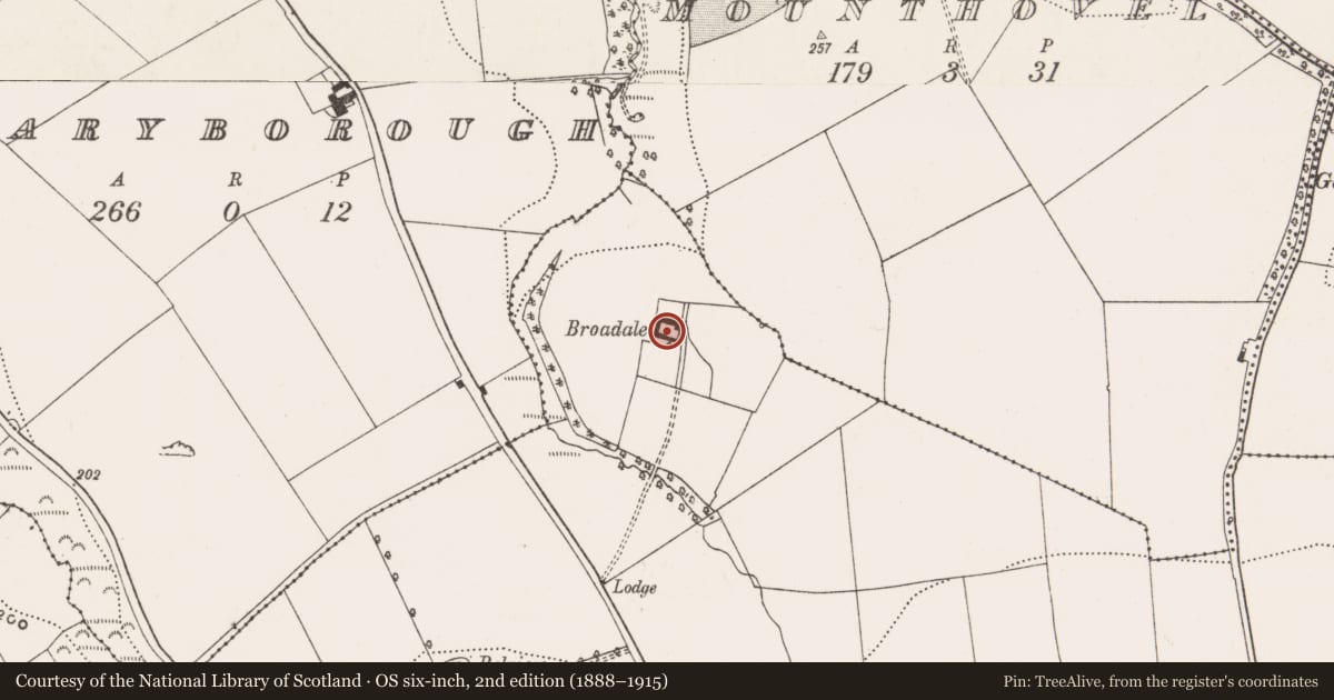 Ordnance Survey six-inch map, 2nd edition (1888–1915) covering the location of Country house, Moneygurney, County Cork, with a pin at the register's coordinates