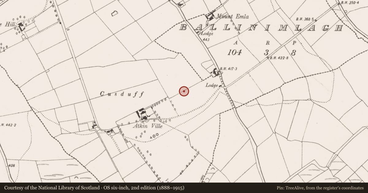 Ordnance Survey six-inch map, 2nd edition (1888–1915) covering the location of Fulacht fia, Castletreasure, County Cork, with a pin at the register's coordinates