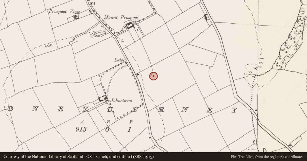 Ordnance Survey six-inch map, 2nd edition (1888–1915) covering the location of Fulacht fia, Moneygurney, County Cork, with a pin at the register's coordinates