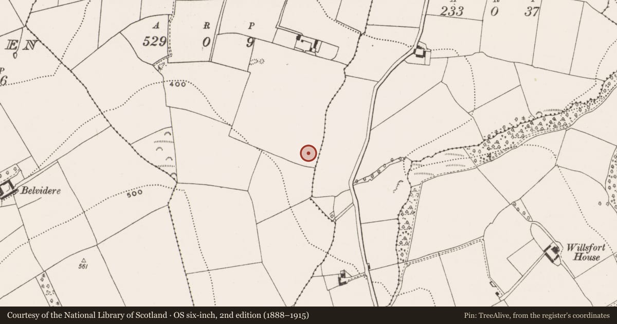 Ordnance Survey six-inch map, 2nd edition (1888–1915) covering the location of Fulacht fia, Curraghconway, County Cork, with a pin at the register's coordinates