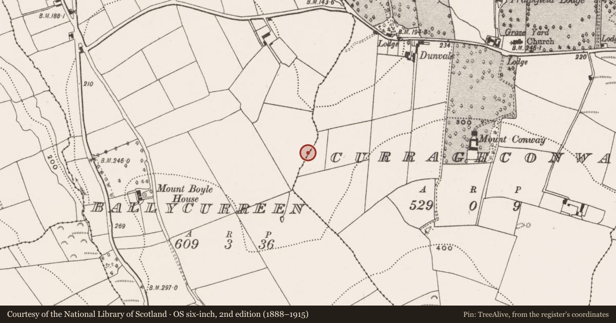 Ordnance Survey six-inch map, 2nd edition (1888–1915) covering the location of Fulacht fia, Curraghconway, County Cork, with a pin at the register's coordinates