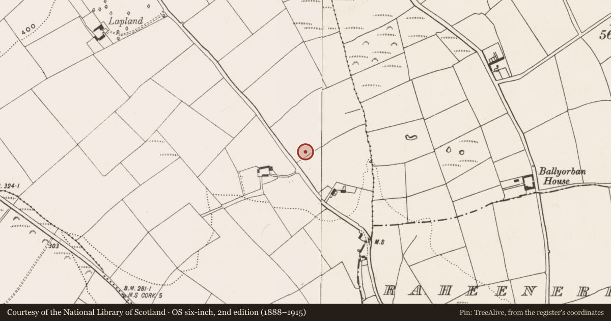 Ordnance Survey six-inch map, 2nd edition (1888–1915) covering the location of Enclosure, Moneygurney, County Cork, with a pin at the register's coordinates