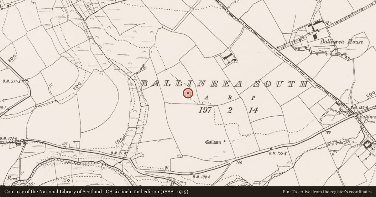 Ordnance Survey six-inch map, 2nd edition (1888–1915) covering the location of Standing stone, Ballinrea South, County Cork, with a pin at the register's coordinates