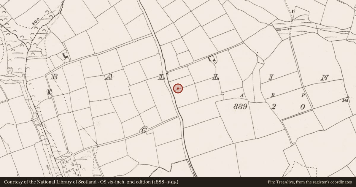 Ordnance Survey six-inch map, 2nd edition (1888–1915) covering the location of Standing stone, Ballinrea, County Cork, with a pin at the register's coordinates