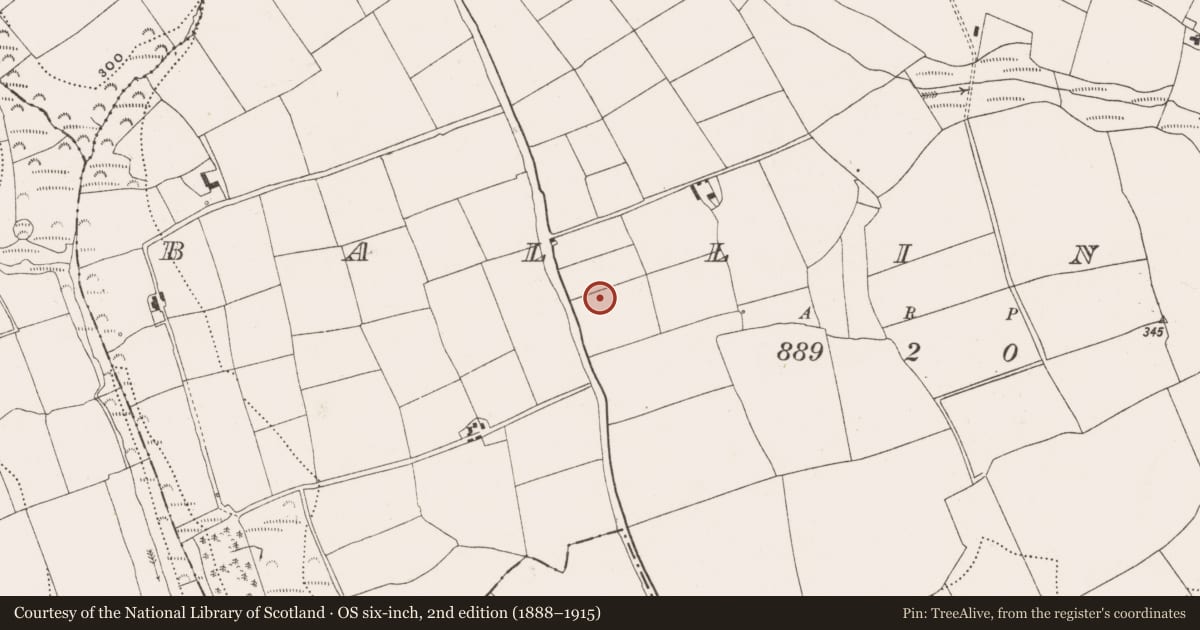 Ordnance Survey six-inch map, 2nd edition (1888–1915) covering the location of Ringfort - rath, Ballinrea, County Cork, with a pin at the register's coordinates
