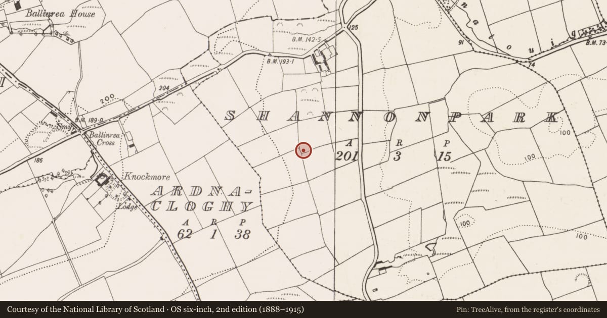 Ordnance Survey six-inch map, 2nd edition (1888–1915) covering the location of Fulacht fia, Shannonpark, County Cork, with a pin at the register's coordinates