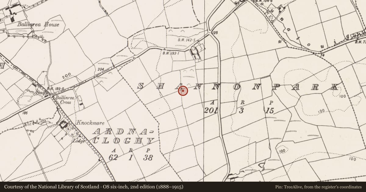 Ordnance Survey six-inch map, 2nd edition (1888–1915) covering the location of Fulacht fia, Shannonpark, County Cork, with a pin at the register's coordinates