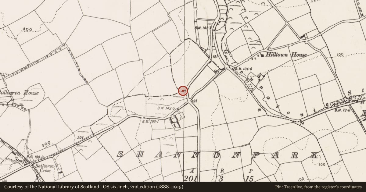 Ordnance Survey six-inch map, 2nd edition (1888–1915) covering the location of Fulacht fia, Shannonpark, County Cork, with a pin at the register's coordinates