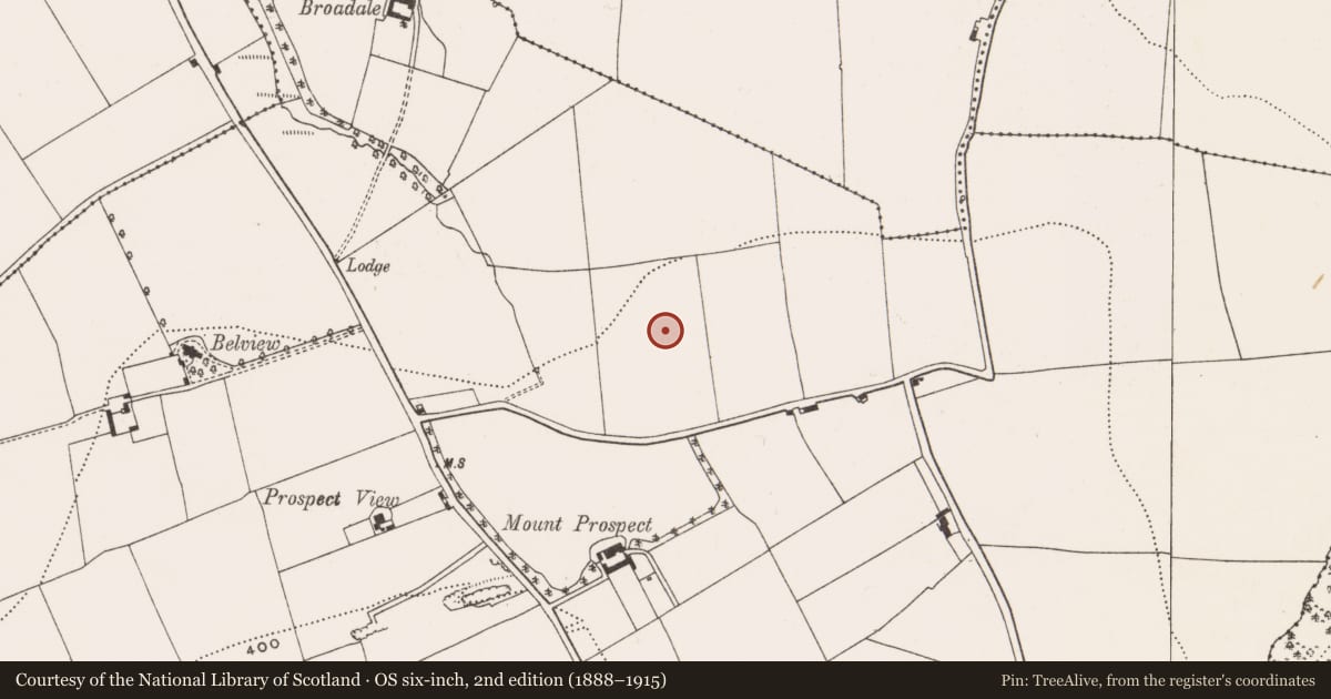 Ordnance Survey six-inch map, 2nd edition (1888–1915) covering the location of Kiln - corn-drying, Moneygurney, County Cork, with a pin at the register's coordinates