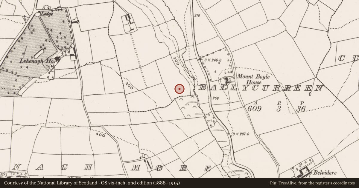 Ordnance Survey six-inch map, 2nd edition (1888–1915) covering the location of Enclosure, Lehenaghbeg, County Cork, with a pin at the register's coordinates