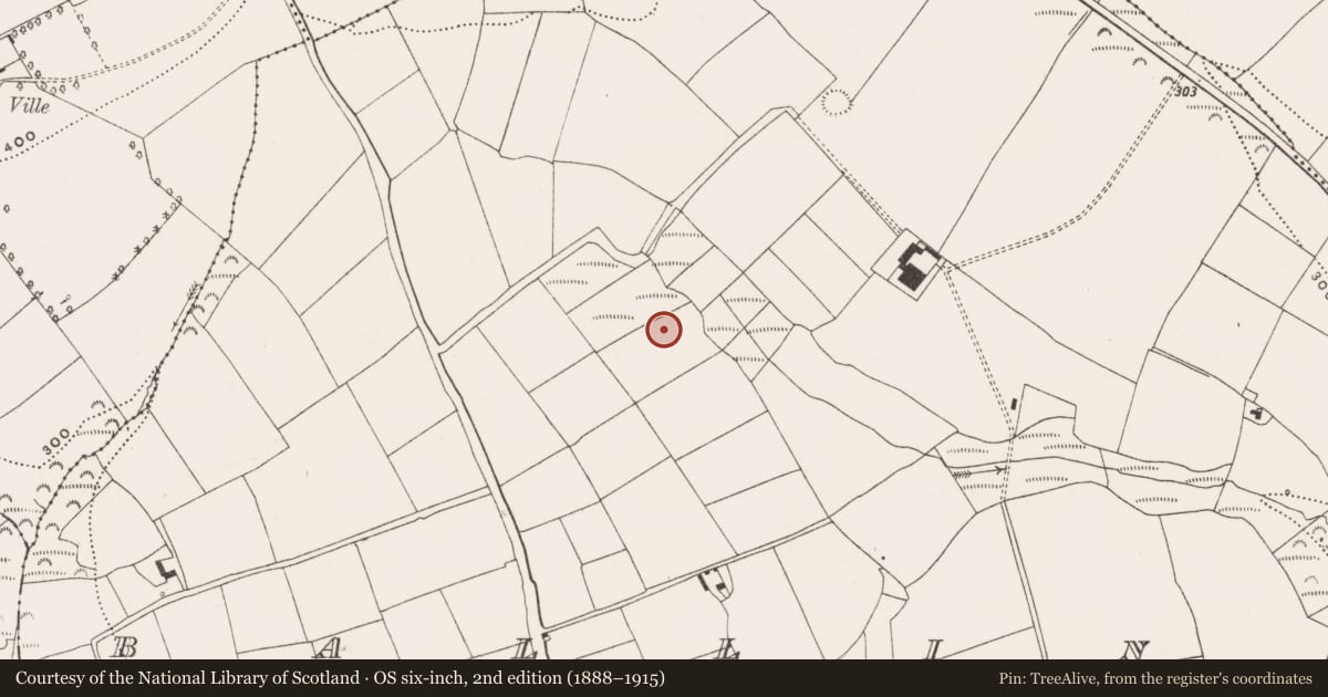 Ordnance Survey six-inch map, 2nd edition (1888–1915) covering the location of Enclosure, Ballinrea, County Cork, with a pin at the register's coordinates