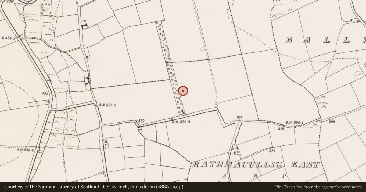 Ordnance Survey six-inch map, 2nd edition (1888–1915) covering the location of Barrow - unclassified, Rathmacullig East, County Cork, with a pin at the register's coordinates