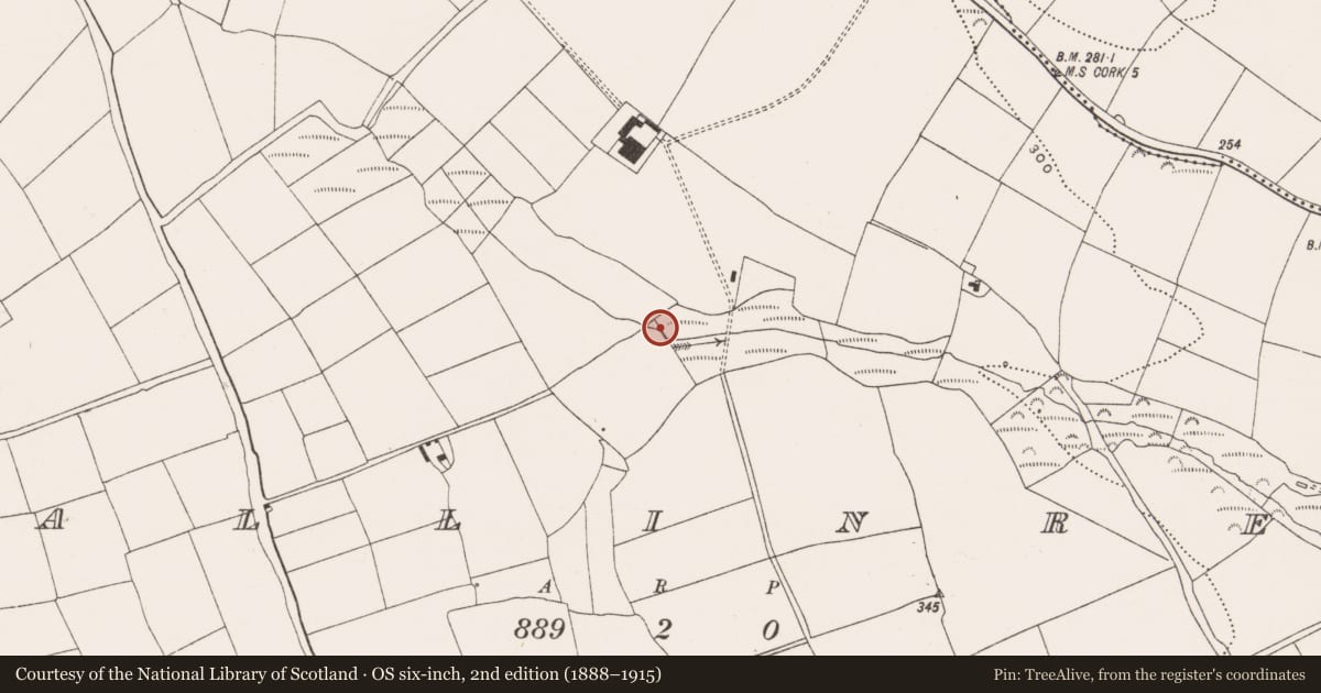 Ordnance Survey six-inch map, 2nd edition (1888–1915) covering the location of Fulacht fia, Ballinrea, County Cork, with a pin at the register's coordinates
