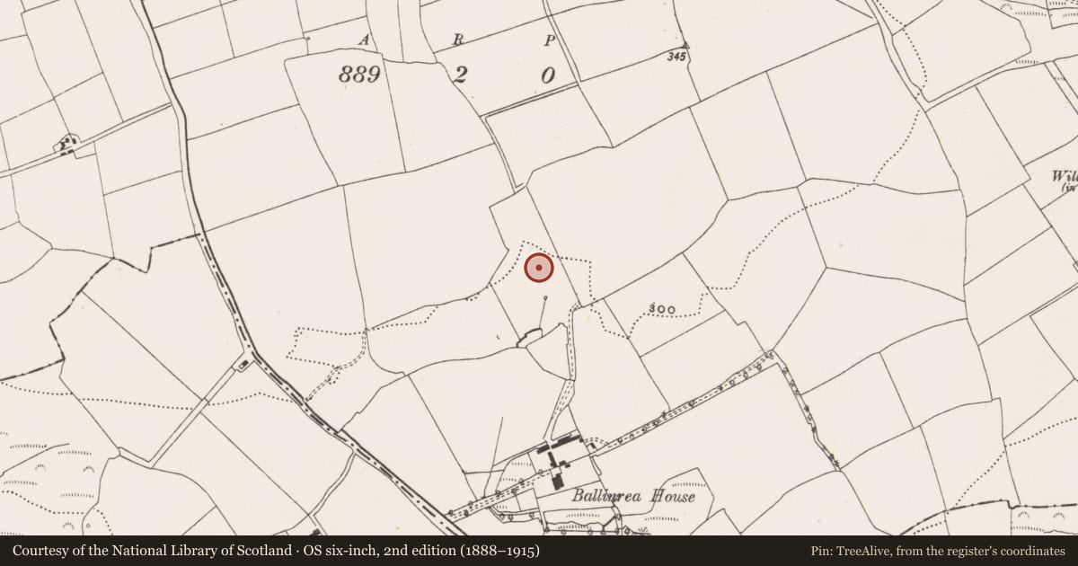 Ordnance Survey six-inch map, 2nd edition (1888–1915) covering the location of Fulacht fia, Ballinrea, County Cork, with a pin at the register's coordinates