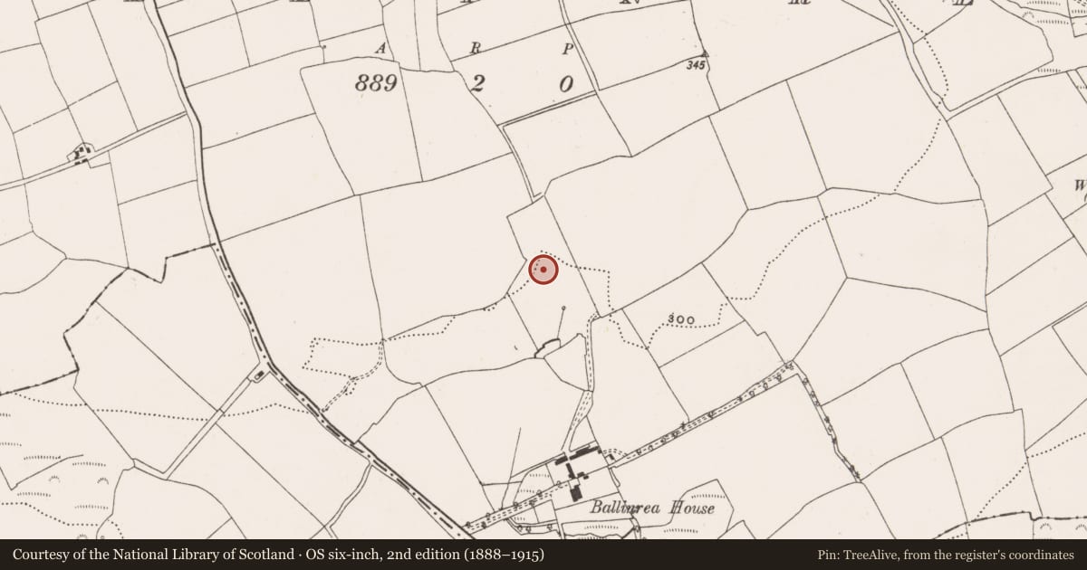 Ordnance Survey six-inch map, 2nd edition (1888–1915) covering the location of Fulacht fia, Ballinrea, County Cork, with a pin at the register's coordinates