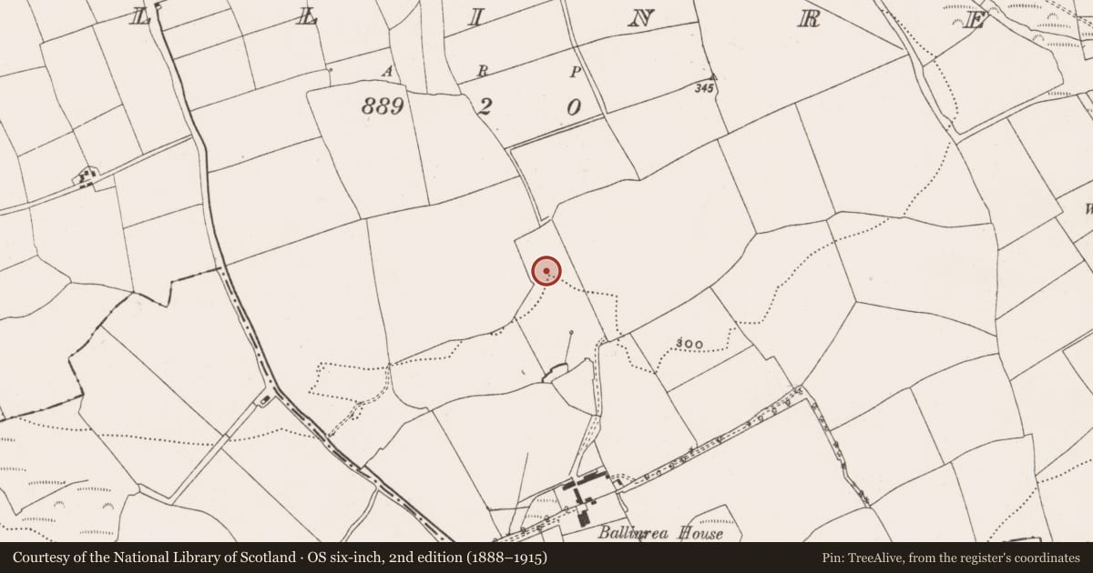 Ordnance Survey six-inch map, 2nd edition (1888–1915) covering the location of Fulacht fia, Ballinrea, County Cork, with a pin at the register's coordinates