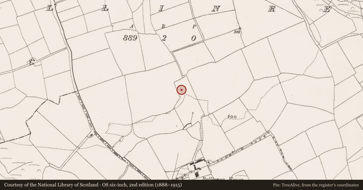 Ordnance Survey six-inch map, 2nd edition (1888–1915) covering the location of Fulacht fia, Ballinrea, County Cork, with a pin at the register's coordinates
