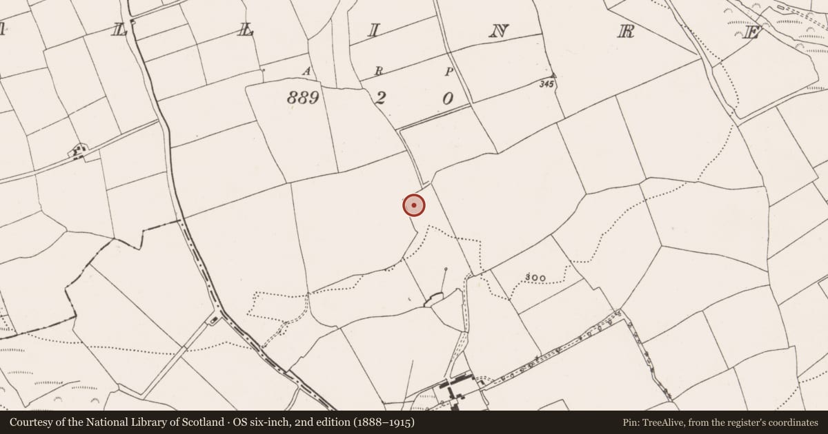 Ordnance Survey six-inch map, 2nd edition (1888–1915) covering the location of Fulacht fia, Ballinrea, County Cork, with a pin at the register's coordinates